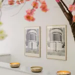 Coco Aphrodite * Noordwijk